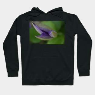 Clematis about to open Hoodie